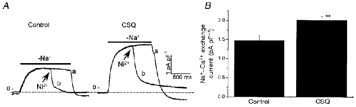 Figure 8