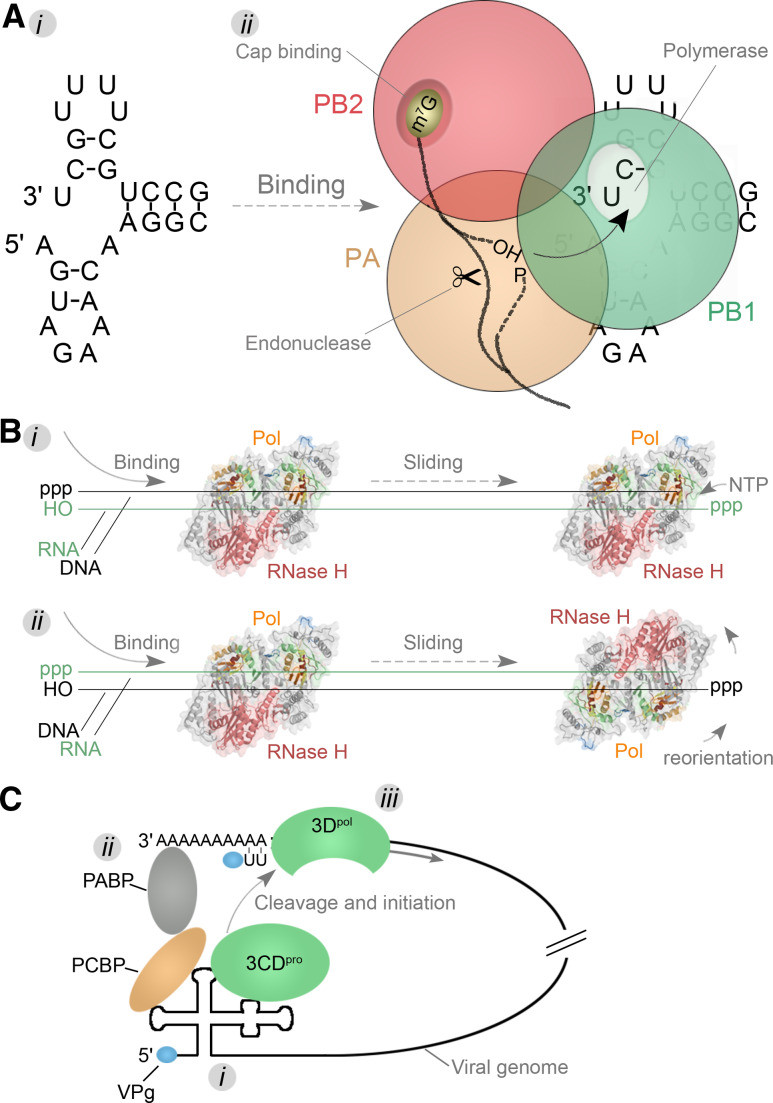 Fig. 7