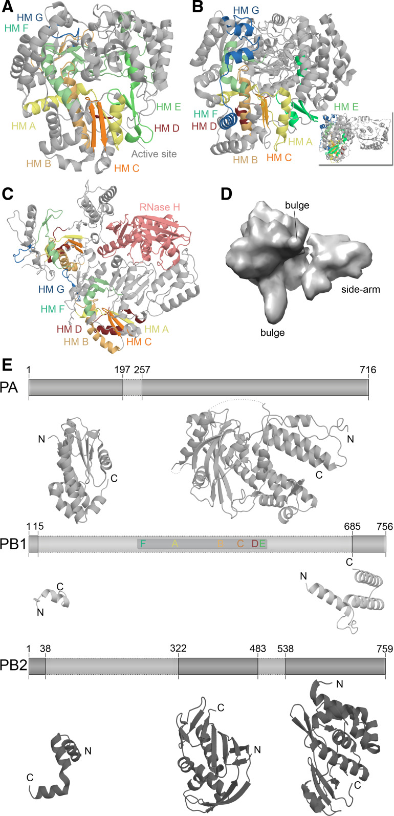 Fig. 4