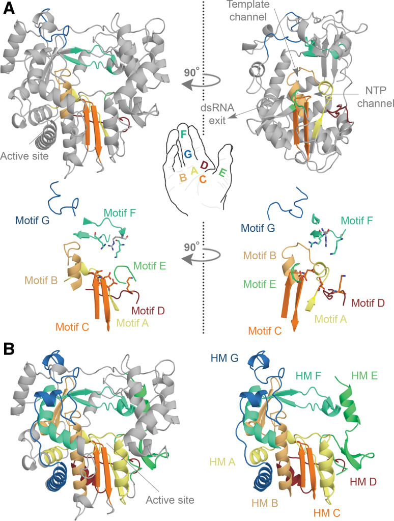 Fig. 3