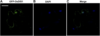 Figure 3.