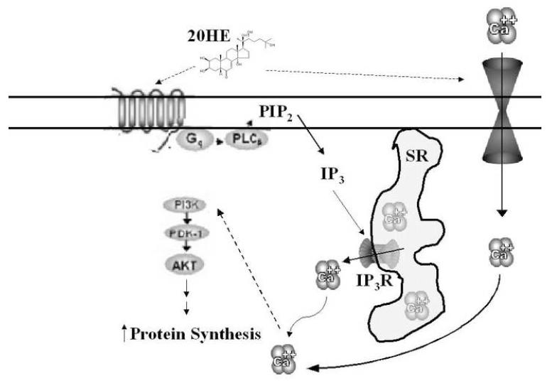 Fig. 9