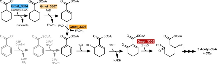 FIG 6