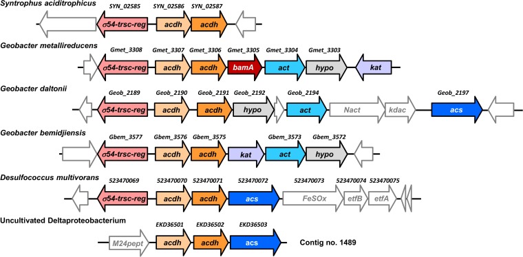 FIG 2