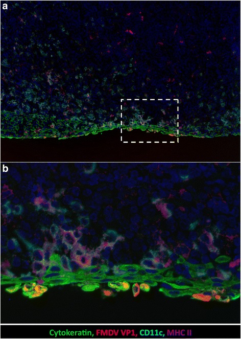 Fig. 3