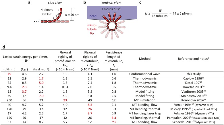 Figure 4—figure supplement 1.