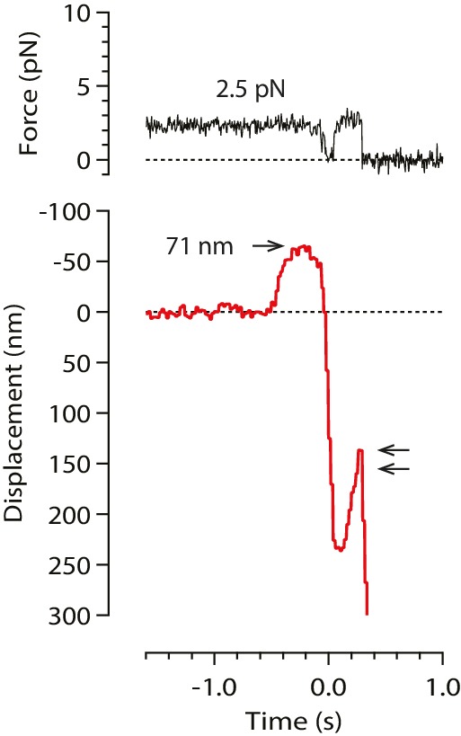 Figure 3—figure supplement 1.