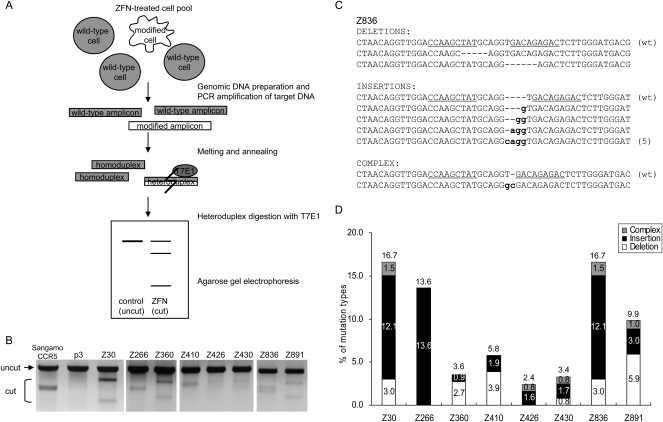 Figure 2.