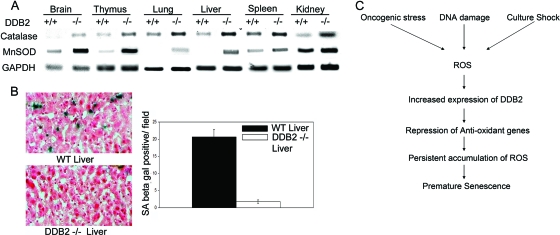 FIG. 9.