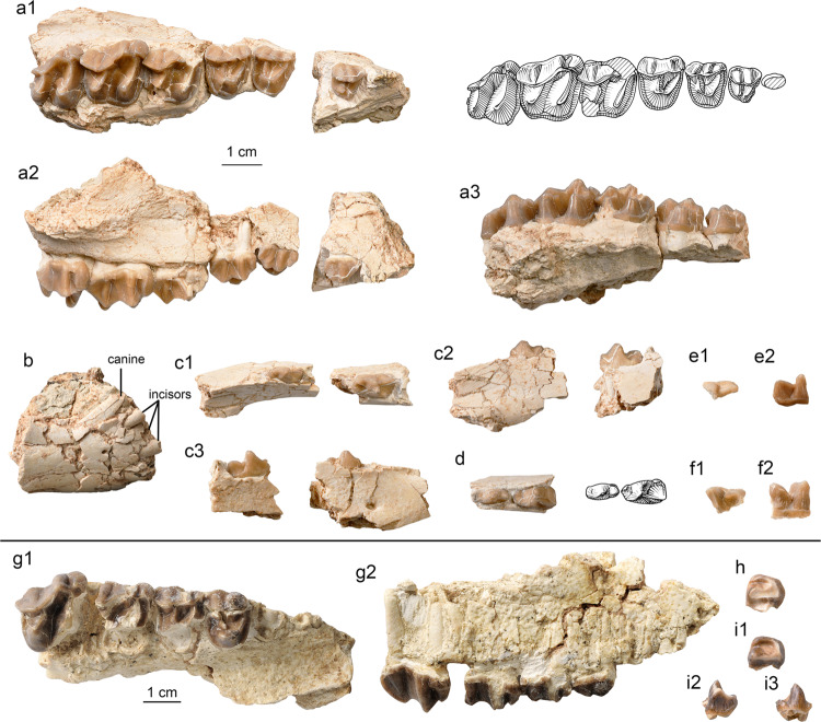 Fig. 6