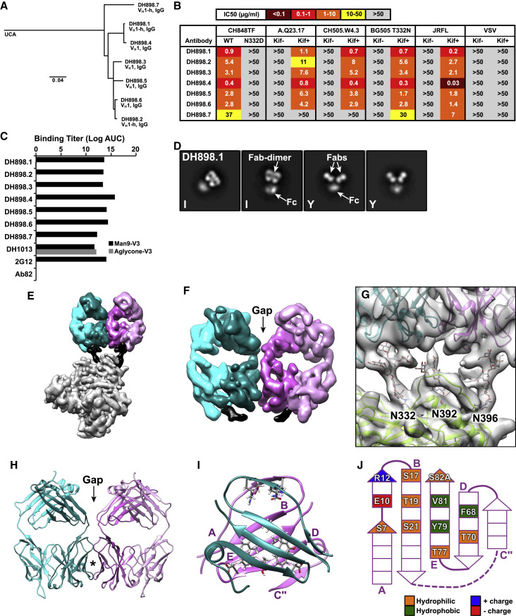 Figure 4