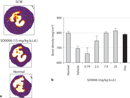 Fig. 10.