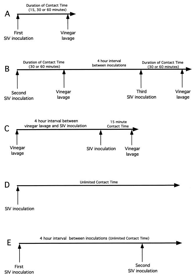 FIG. 5