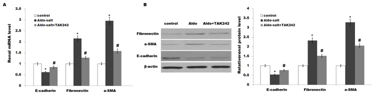 Fig 5