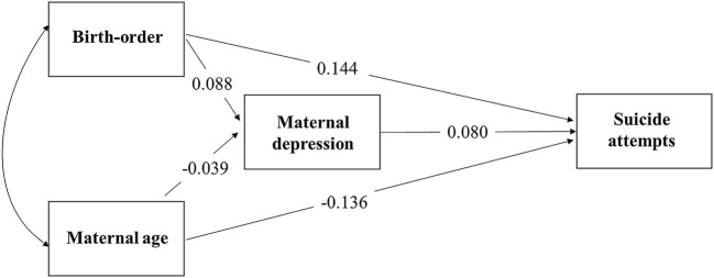 Fig. 2