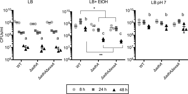 FIG 3