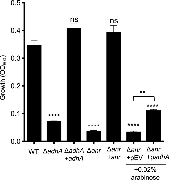 FIG 6