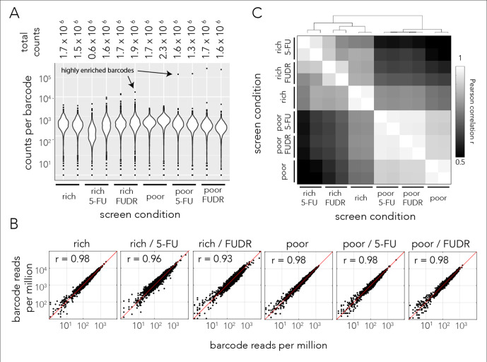 Figure 1—figure supplement 1.