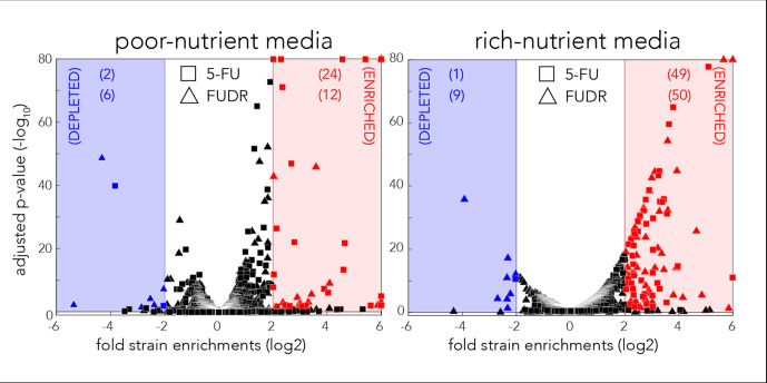 Figure 1—figure supplement 2.