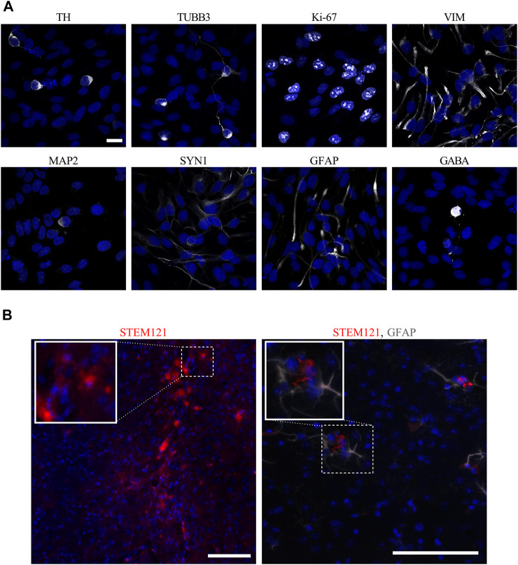 FIGURE 3