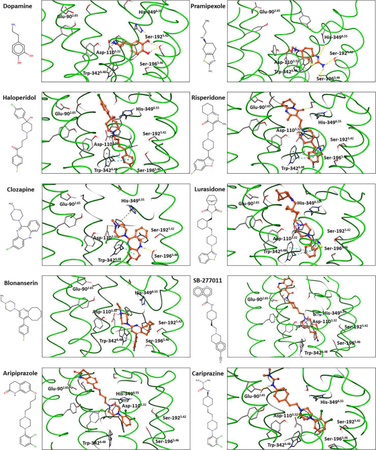 FIGURE 4