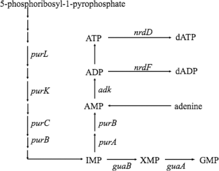 Fig. 1.