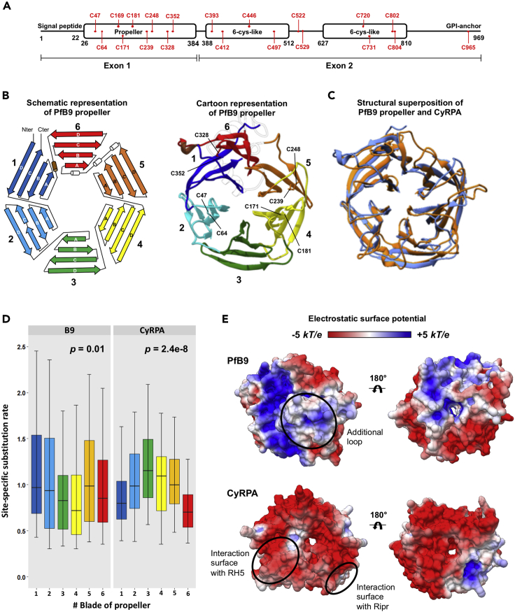 Figure 4