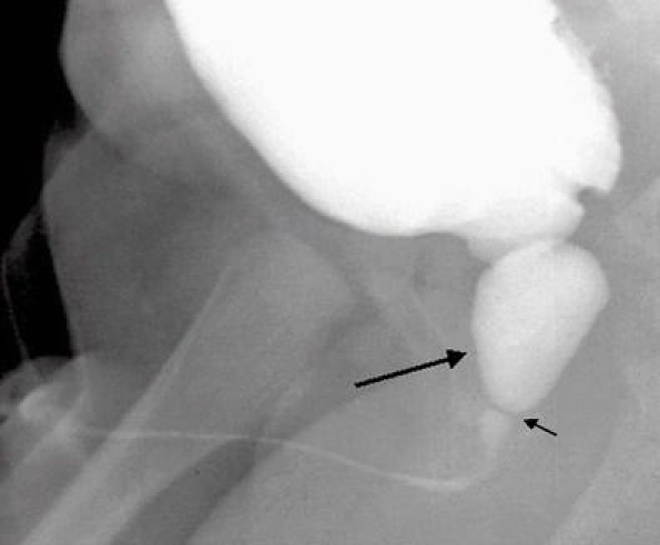 Fig. 8
