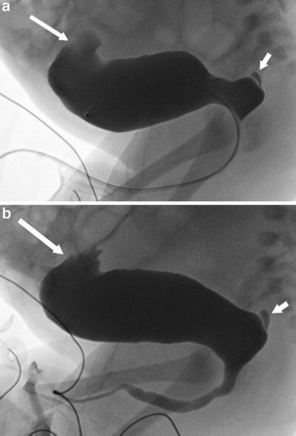 Fig. 9