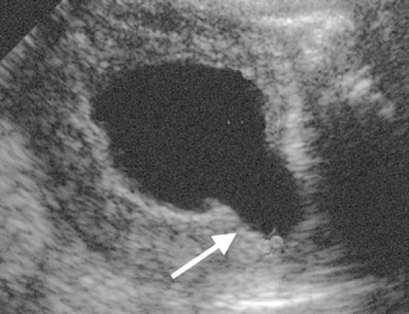Fig. 7