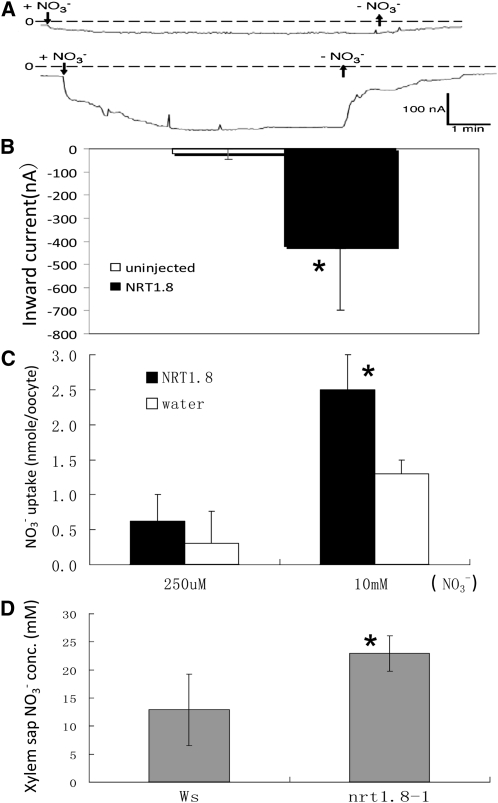 Figure 4.