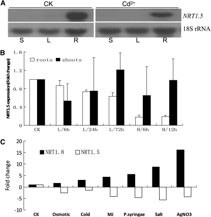 Figure 10.