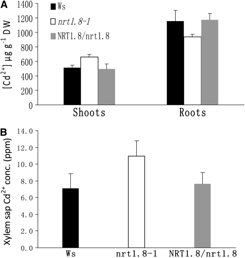 Figure 9.