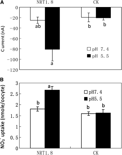 Figure 5.