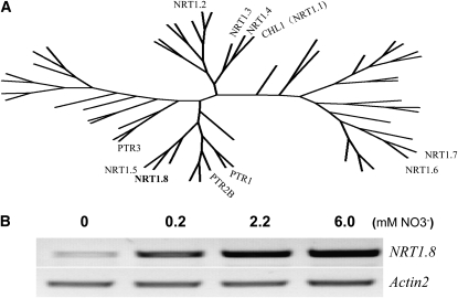 Figure 1.