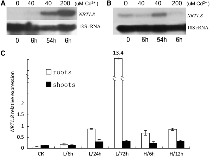 Figure 6.