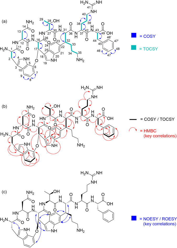 FIG 3