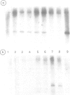 98