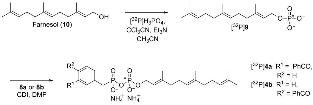 Scheme 2