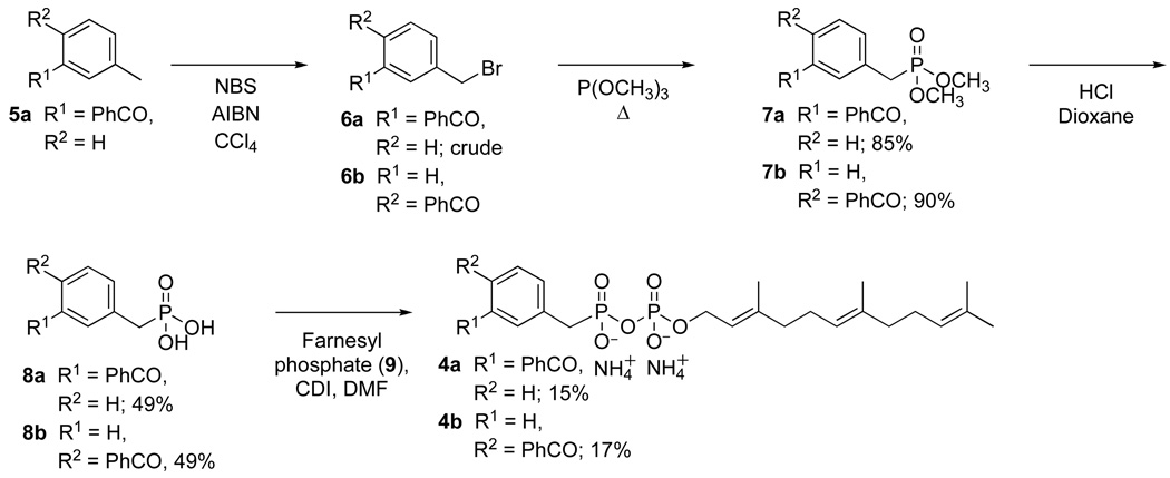 Scheme 1