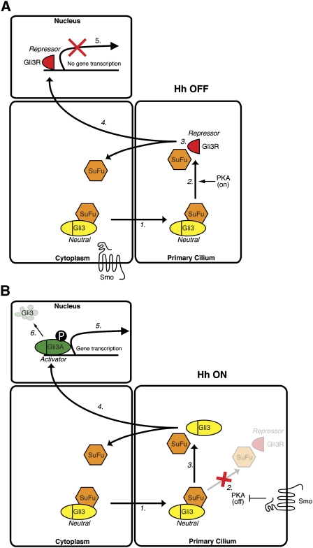 Figure 9.