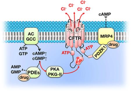 graphic file with name nihms-726804-f0001.jpg