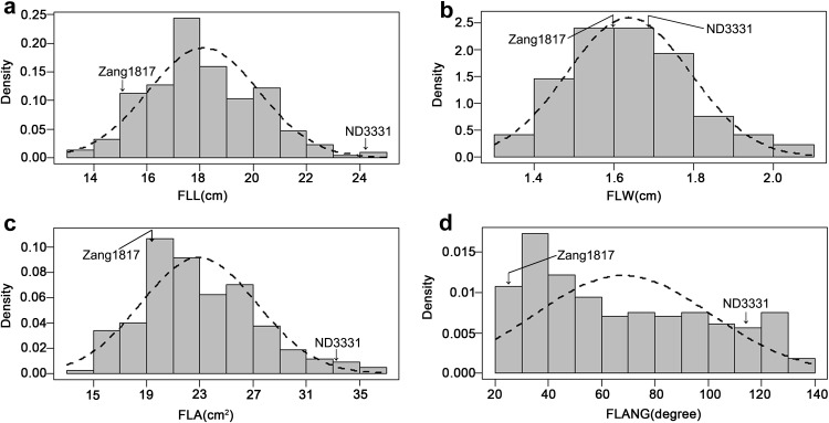 Fig. 2