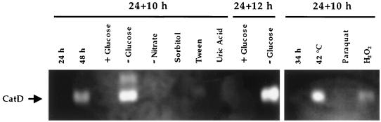 FIG. 6