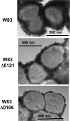 FIG. 8.