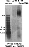 FIG. 9.