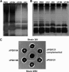 FIG. 7.