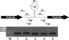 FIG. 4.