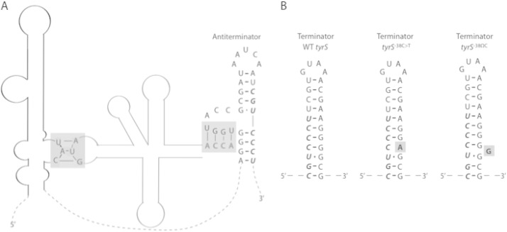 FIG 4