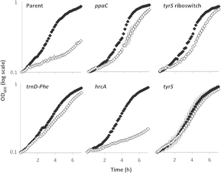 FIG 1